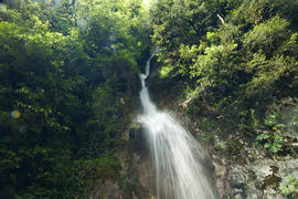 The falls in mountains fall from big height and strongly rustle