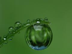 Макрофотография капли воды на травинке