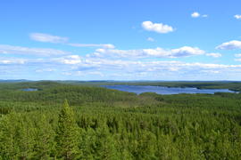 Пейзаж зеленого плато с озером 