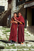 Молодые монахи.