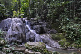 Тайланд. Провинция. Пханг Нга. Водопад в чаще леса