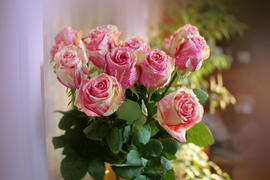 Букет мраморных роз