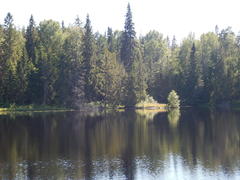 Пемзах лесного озера в окружении хвойных деревьев 