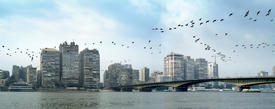 Каир. Мост через Нил.