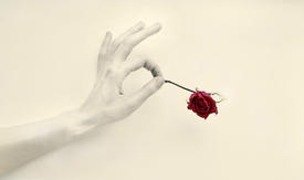 Рука с красной розой