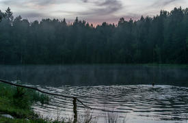 Лесное озеро в вечернее время