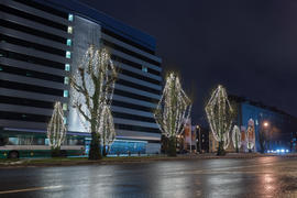 Новогодние украшения на деревьях в центре Таллинна