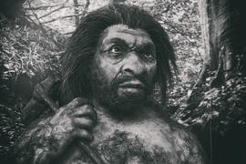 Скульптура древнего человека. Портрет 