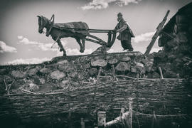 Скульптура крестьянина с лошадью, вырезанных из дерева 