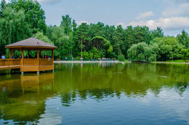 Лебединое озеро. Новосибирский зоопарк.