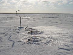 Ловля корюшки на Ладожском озере весной