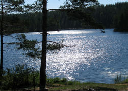 Лесное озеро в Карелии летом в солнечную погоду