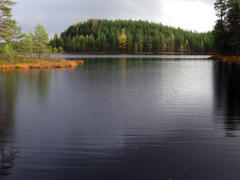 Озеро осенью и летний дождь
