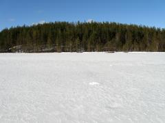 Лесное озеро в Карелии весной в солнечный день